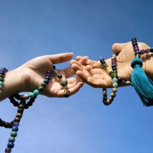 Malas Conscience & Connexion